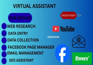 I will provide professional virtual assistant services for your business