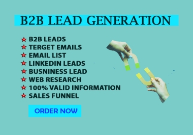 Targeted B2B lead generation prospect list building and data entry expert