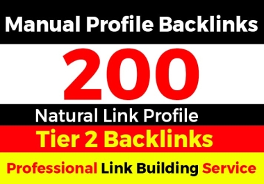 I Will Build 200+ Tier 2 Profile Backlinks to Strengthen Your Existing Links