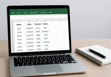 Data entry in excel and word,  Cleaning and organizing your Excel data