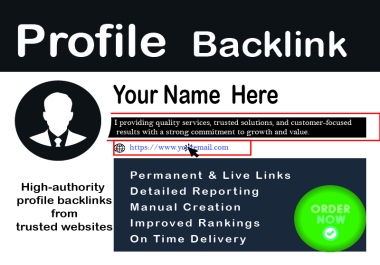 Safe & Powerful 100 Profile Backlinks for Website Growth