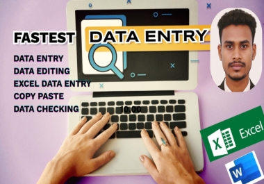 I will do professional data entry,  web research,  copy paste tasks