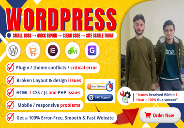 I will fix small WordPress errors,  bugs,  and issues fast