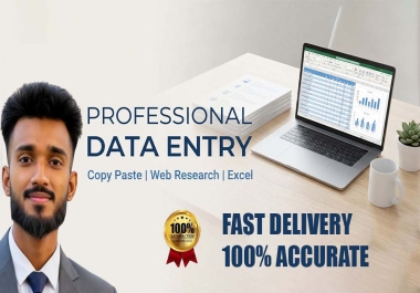 I will do accurate data entry,  copy paste,  excel data entry and web research
