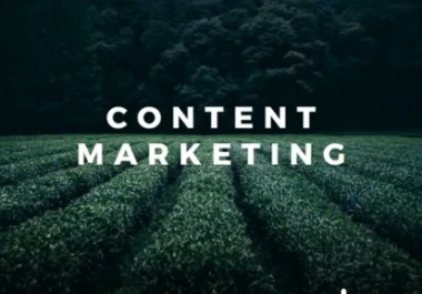 I am a Digital Content Specialist specializing in all types of website content.