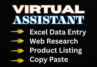 I will do Professional Excel Data Entry,  Copy Paste & Web Research task