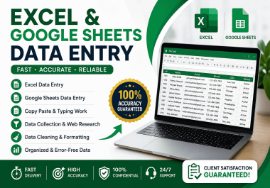 I will do Excel data entry,  Google Sheets data entry and data management