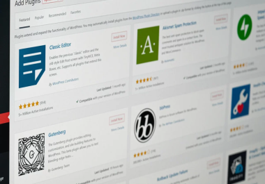 Professional WordPress Plugin Customization & Development Service.