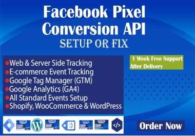 I will Setup and fix Meta Pixel, Conversion API Setup via GTM