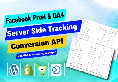 I will setup Meta Pixel Conversion API & BS/SS Side Tracking via GTM