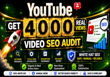 I will provide professional video SEO audit and metadata optimization