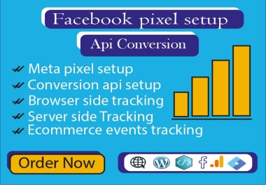 I will do meta pixel setup,  Conversion API, GTM and browser site tracking