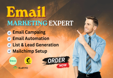 I will create and manage professional email campaigns for your business