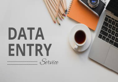 Professional Data Entry Service with 100 Accuracy.