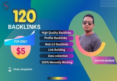 I Will Do Professional SEO,  Profile Backlinks,  Web 2.0 and Data Entry