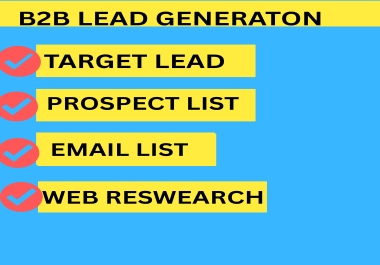 I Will Generate High Quality B2B Leads and Contacts