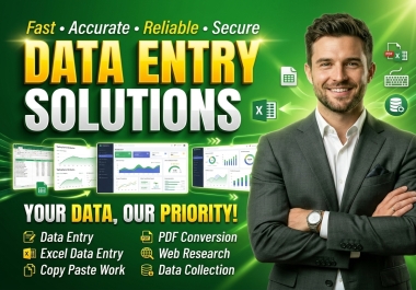 I will handle accurate excel data entry and web research tasks