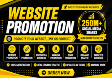I Will Promote Your Website to Increase Traffic,  Visibility and Online Presence