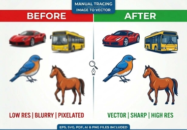I will do professional manual vector tracing,  image tracing,  and file conversion