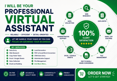 I Will Be Your Professional Virtual Assistant for Data Entry,  Web Research & Admin Support.