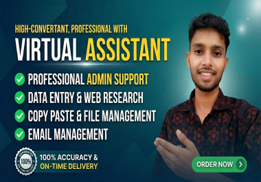 I Will Be Your Professional Virtual Assistant for Data Entry,  Web Research & Administrative Tasks