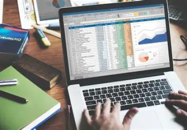 I will do accurate copy paste data entry in Excel and Word