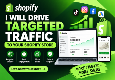I will drive targeted traffic to your Shopify store