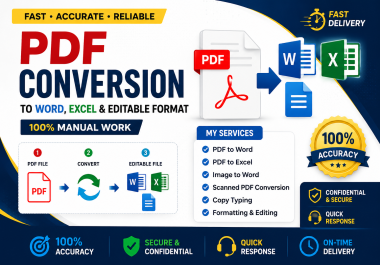 I will convert PDF to Word,  PDF to Excel,  Image to Word manually