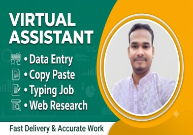 I will do accurate data entry,  copy paste and web research as your virtual assistant