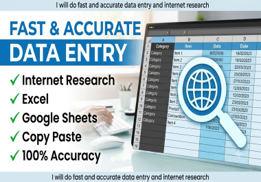 I will do fast and accurate data entry and internet research
