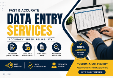 I will do professional data entry,  copy paste and web research work