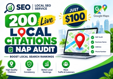 I will build 200 live local citations with NAP audit for local SEO