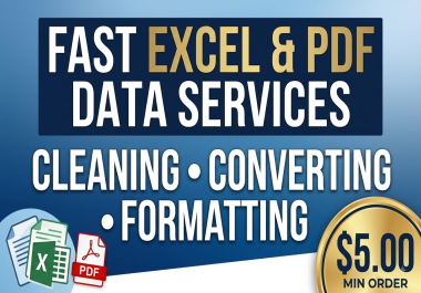 I will clean,  format,  or convert your Excel or PDF data