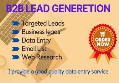 I will do B2B lead generation,  data entry and web research