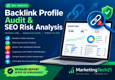 Backlink Profile Audit & SEO Risk Analysis With Optimized & Clean Excel/PDF Format Report