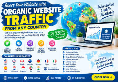 Will Provide Organic Website Traffic From Any Country