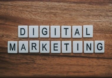 i will write a 500 word SEO article