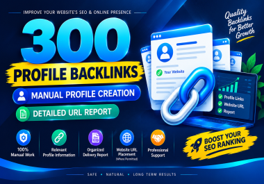 I Will Create 300 Manual SEO Profile Backlinks With a Detailed Report