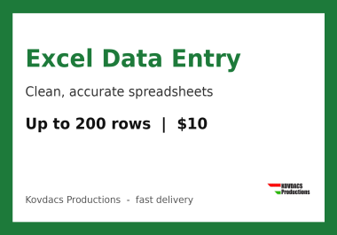 I will do Excel data entry and clean up your spreadsheet