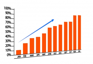 I will manually review your website tell you exactly how you can rank better in the SERPS