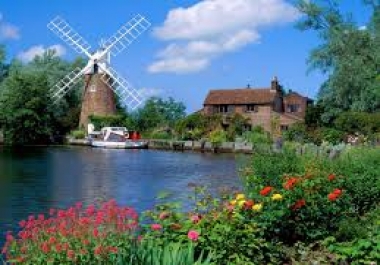 Translate 500 words English to Dutch