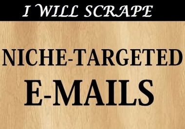 I will Scrape 500 EMAILS For A Specific Niche