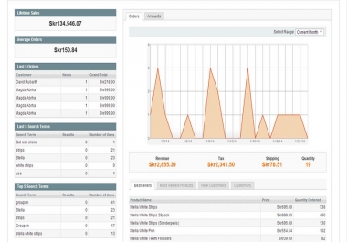 I will Install/setup Magento theme