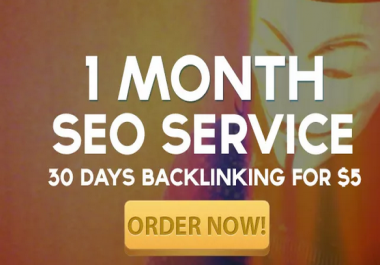 I will do 30 Days SEO For You