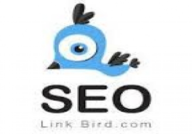 10,000 High PR Backlinks Pyramid