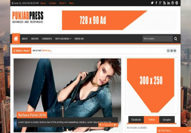 Build you a professional website