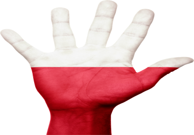Translation from English to Polish