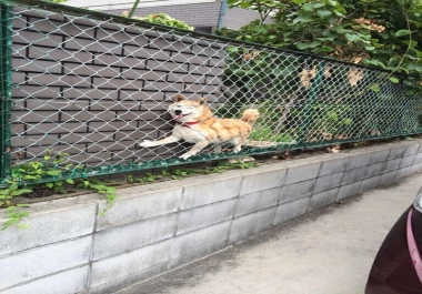 Authority Site Package - High Quality Niche Content