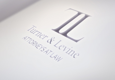 Professional Logo Design
