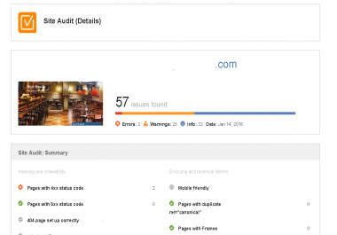 Website Auditor Report